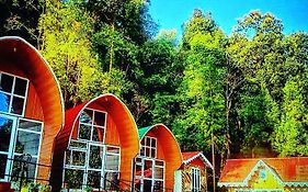 New Bloom Homestay