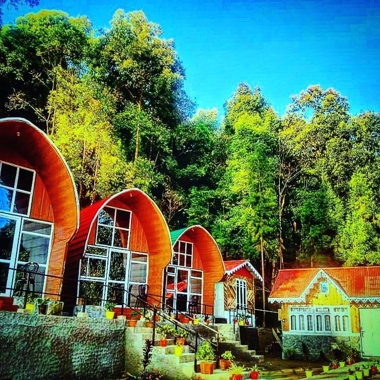New Bloom Homestay Kurseong Exterior photo