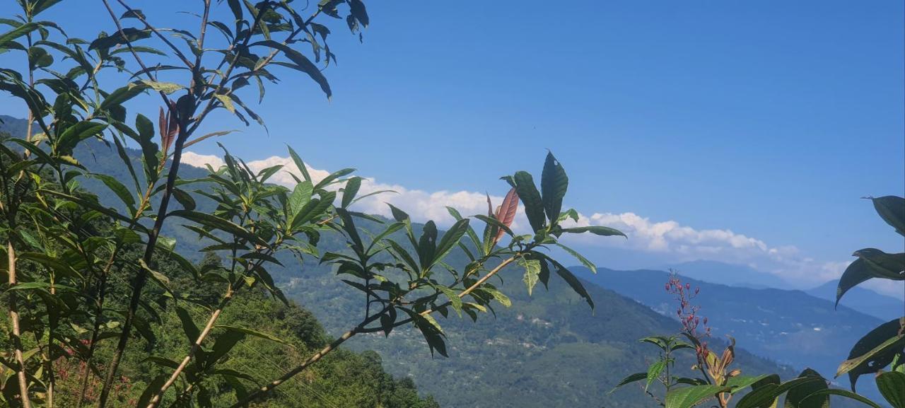 New Bloom Homestay Kurseong Exterior photo